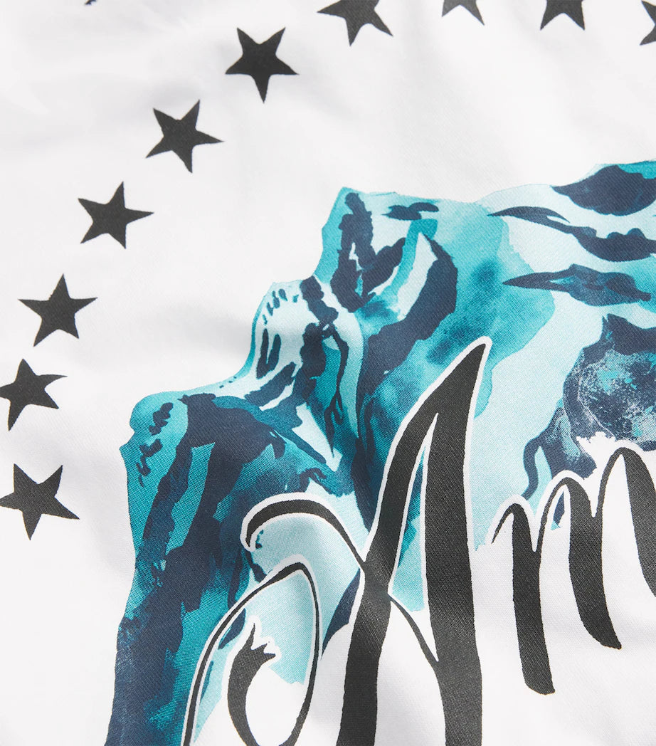 AMIRI T-shirt Amiri mountain tee in cotone