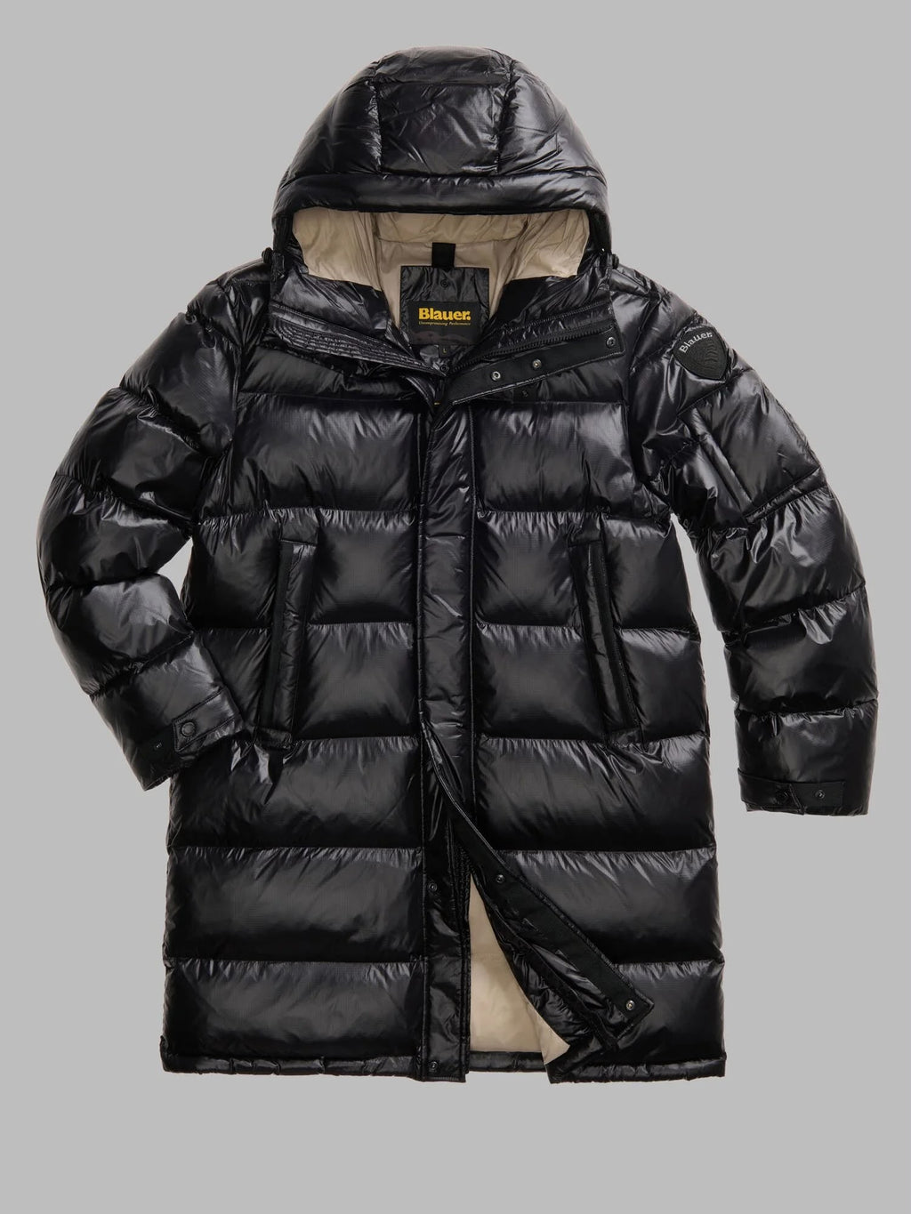 GIUBBINO BLAUER ALDRICH 02350