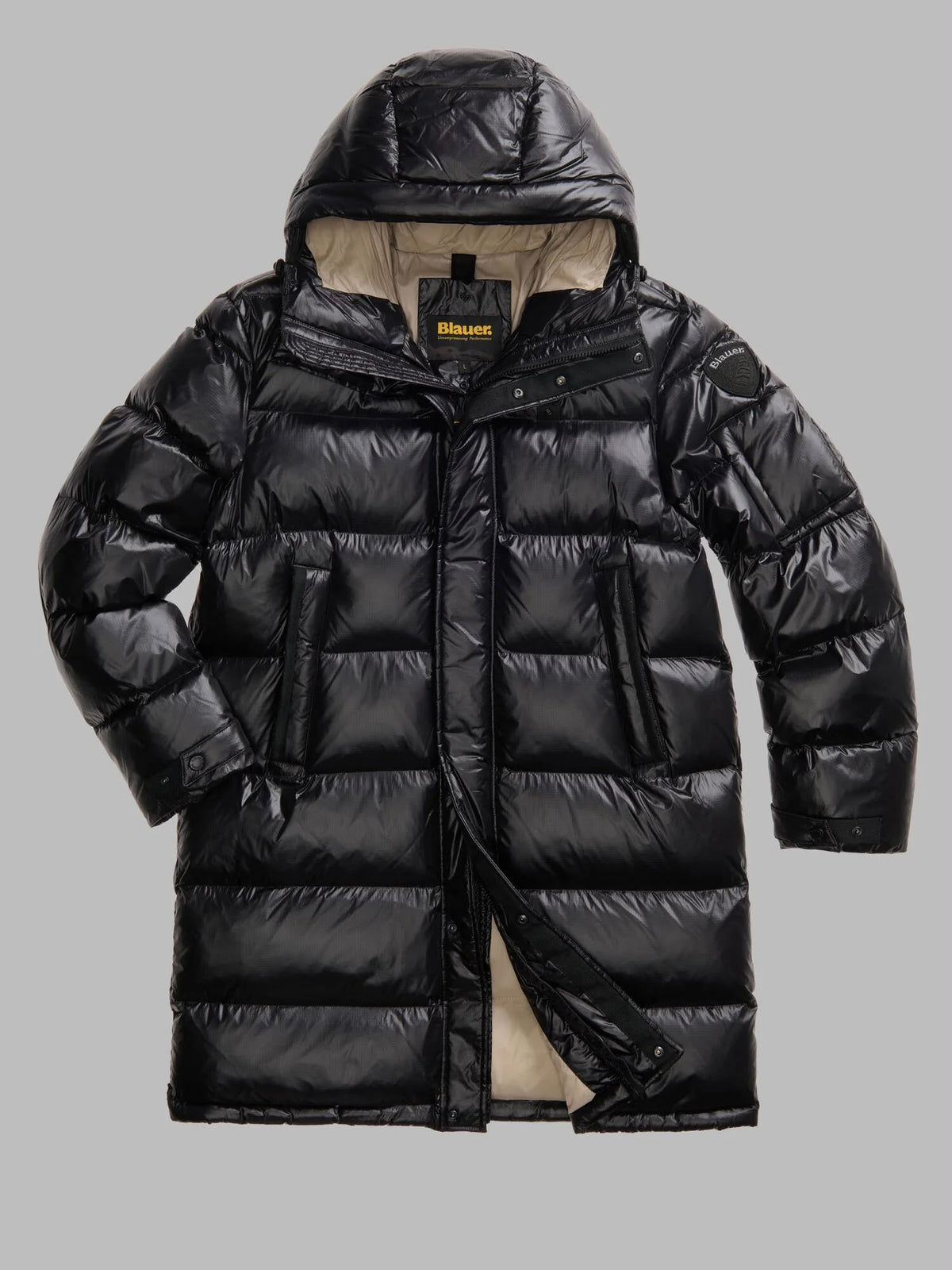 GIUBBINO BLAUER ALDRICH 02350
