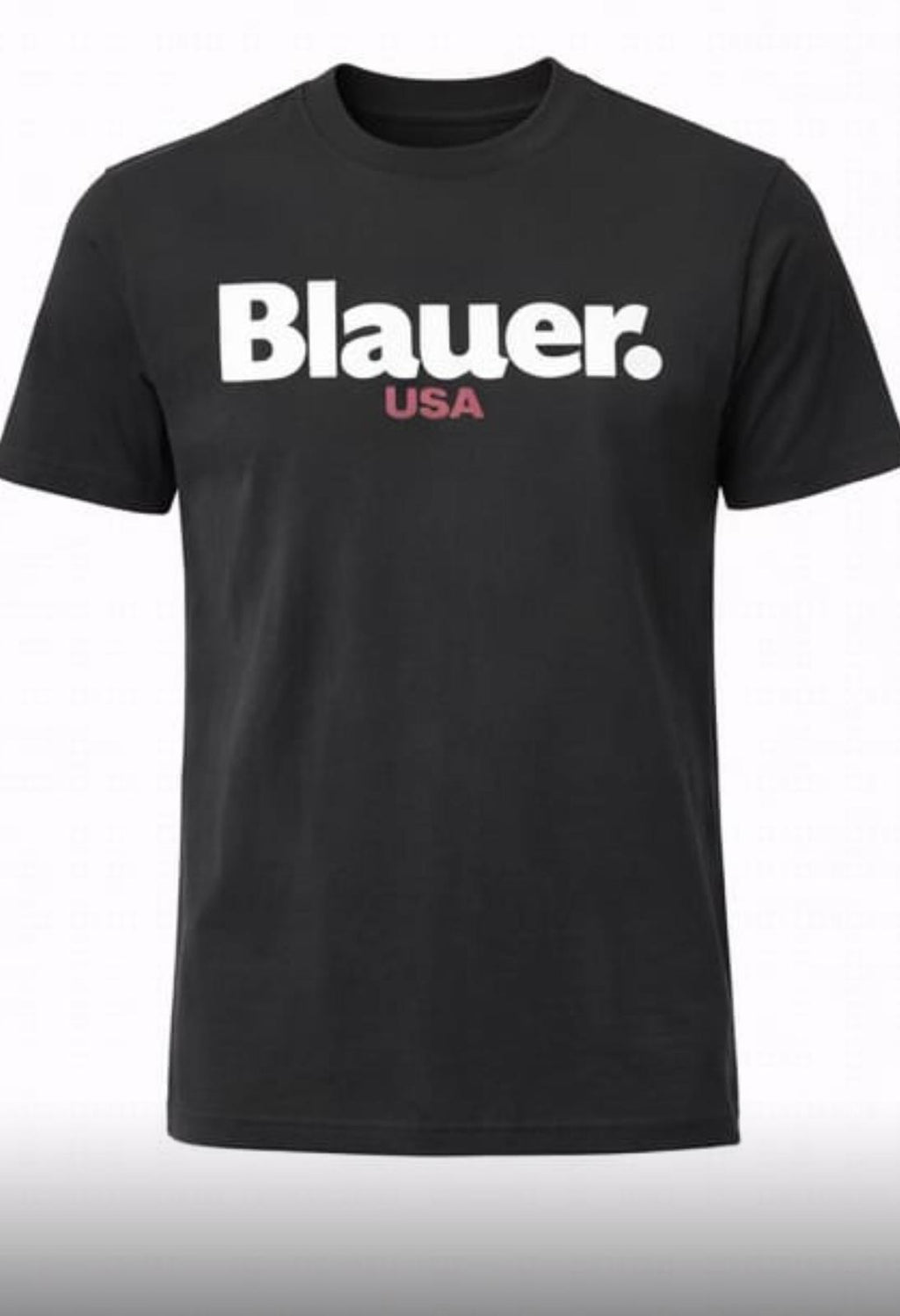 T-SHIRT BLAUER ERNST