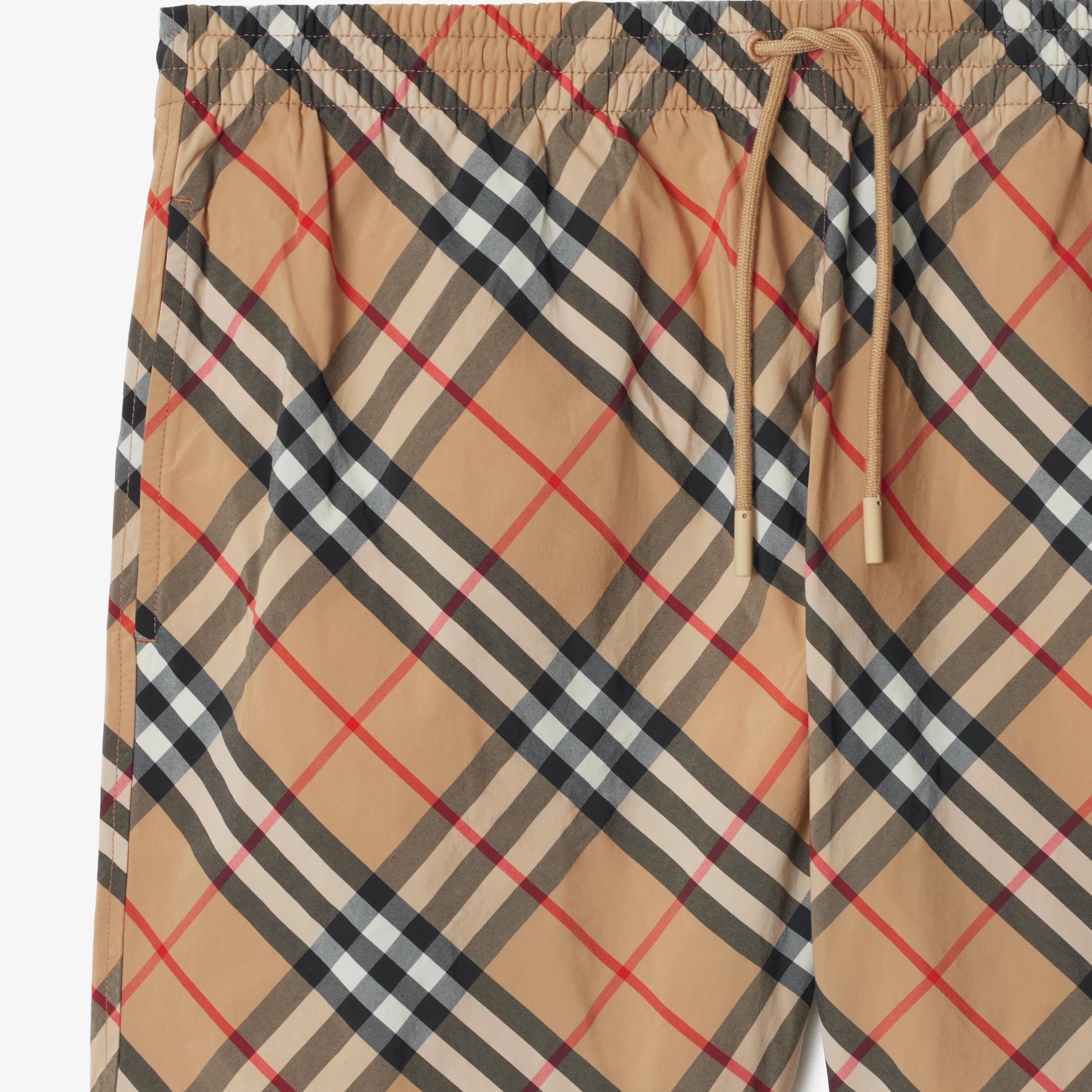 Boxer mare Check