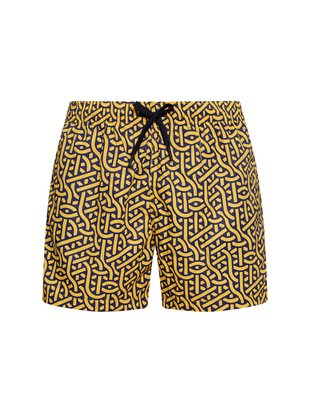 Boxer Saint Vincent Stampato PRINT A1