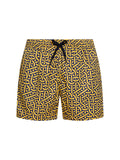 Boxer Saint Vincent Stampato PRINT A1