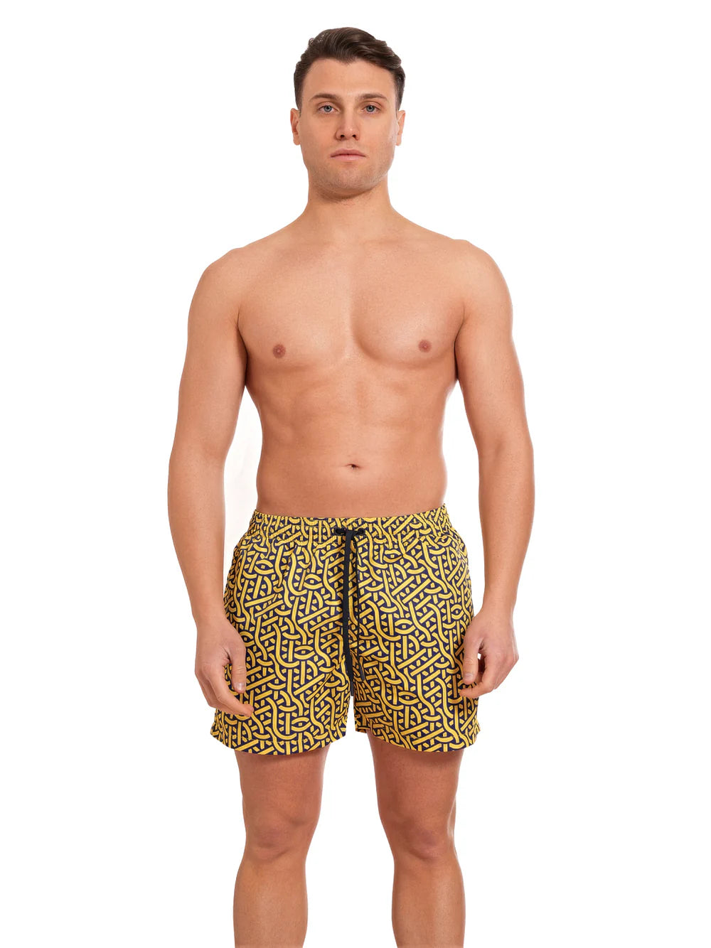 Boxer Saint Vincent Stampato PRINT A1