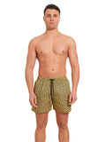 Boxer Saint Vincent Stampato PRINT A1