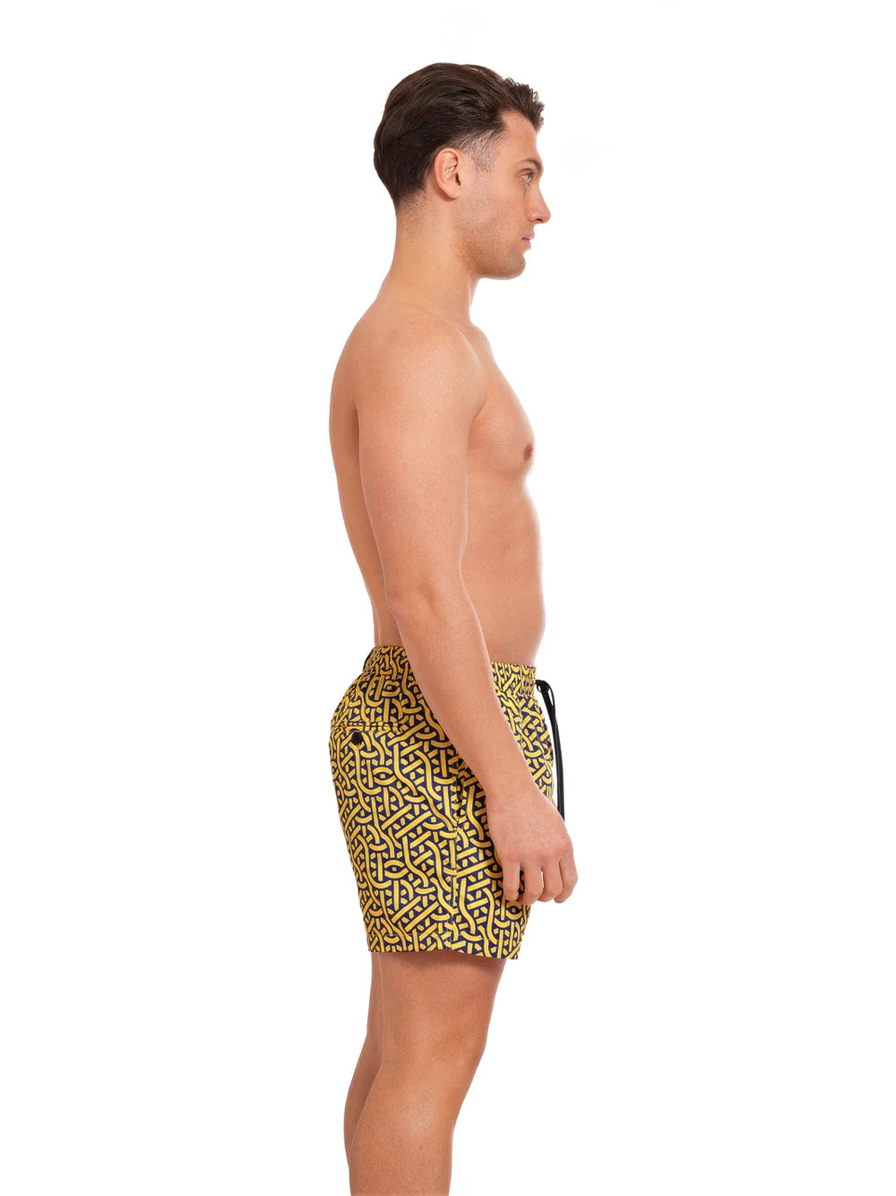 Boxer Saint Vincent Stampato PRINT A1