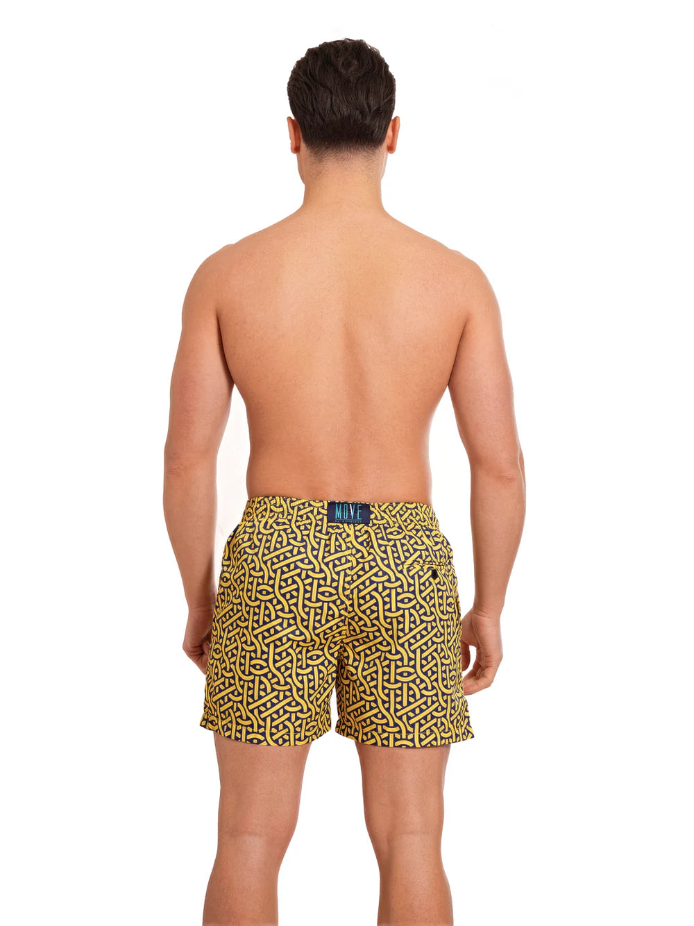 Boxer Saint Vincent Stampato PRINT A1
