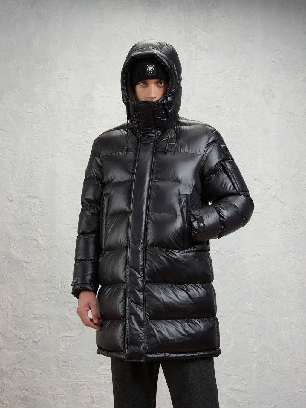 GIUBBINO BLAUER ALDRICH 02350